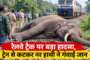 दर्दनाक हादसा: खाई में गिरी ईको वैन, एक की मौत, चालक समेत दो घायल