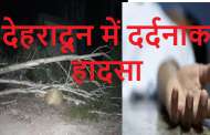 देहरादून- तेज आंधी में पेड़ गिरने से महिला की मौत