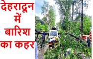 देहरादून -दून में बारिश का कहर पेड़ गिरने से एक की मौत