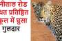 हल्द्वानी- पुलिस ने स्मैक के साथ एक व्यक्ति को किया गिरफ्तार
