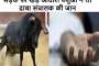 हरिद्वार में 150 से ज्यादा दुकानों को किया ध्वस्त