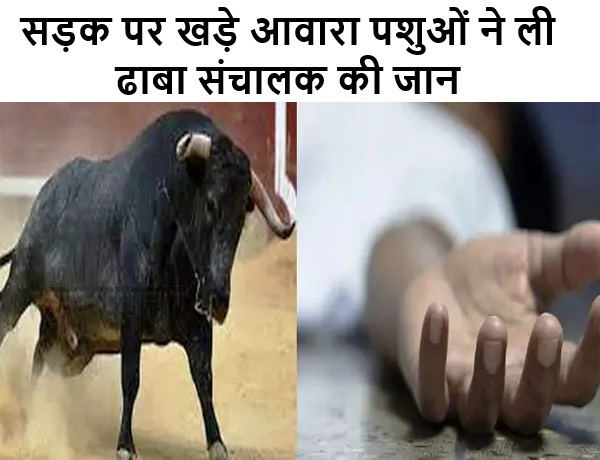 हल्द्वानी- सड़क पर खड़े आवारा पशुओं ने ली ढाबा संचालक की जान
