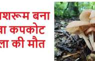 जंगली मशरूम बना जानलेवा कपकोट में महिला की मौत