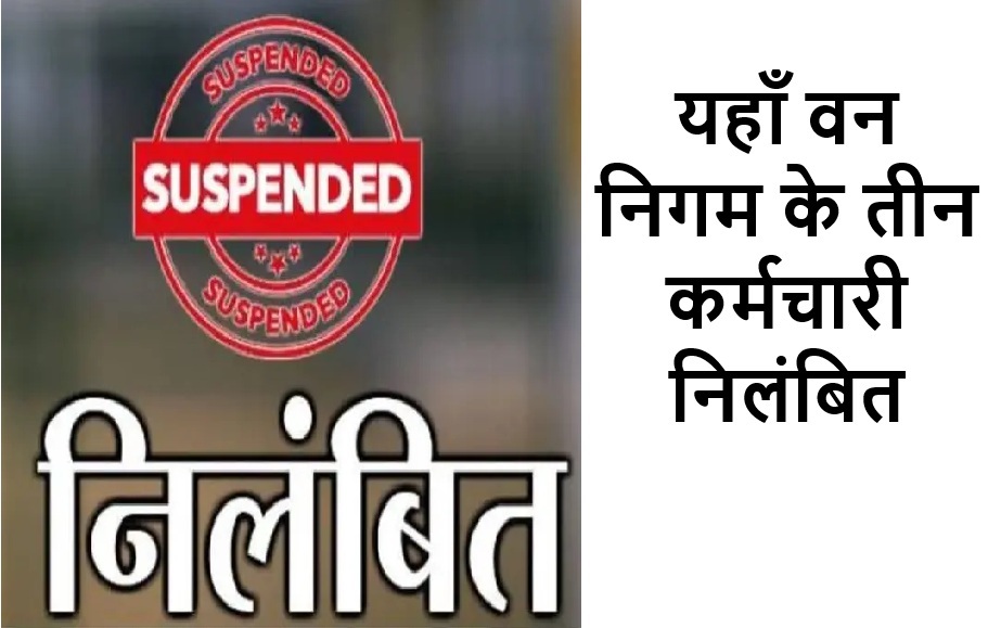 यहाँ वन निगम के तीन कर्मचारी निलंबित