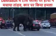 Dehradun में टोल प्लाजा पर हाथी ने मचाया तांडव, कार पर किया हमला