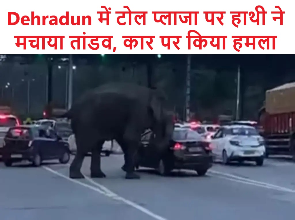Dehradun में टोल प्लाजा पर हाथी ने मचाया तांडव, कार पर किया हमला