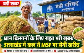 धान किसानों के लिए राहत भरी खबर: उत्तराखंड में कल से MSP पर होगी खरीद