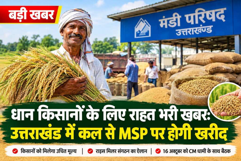 धान किसानों के लिए राहत भरी खबर: उत्तराखंड में कल से MSP पर होगी खरीद